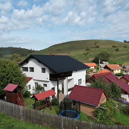 Cazare La Mitica Subcetate  Экстерьер фото